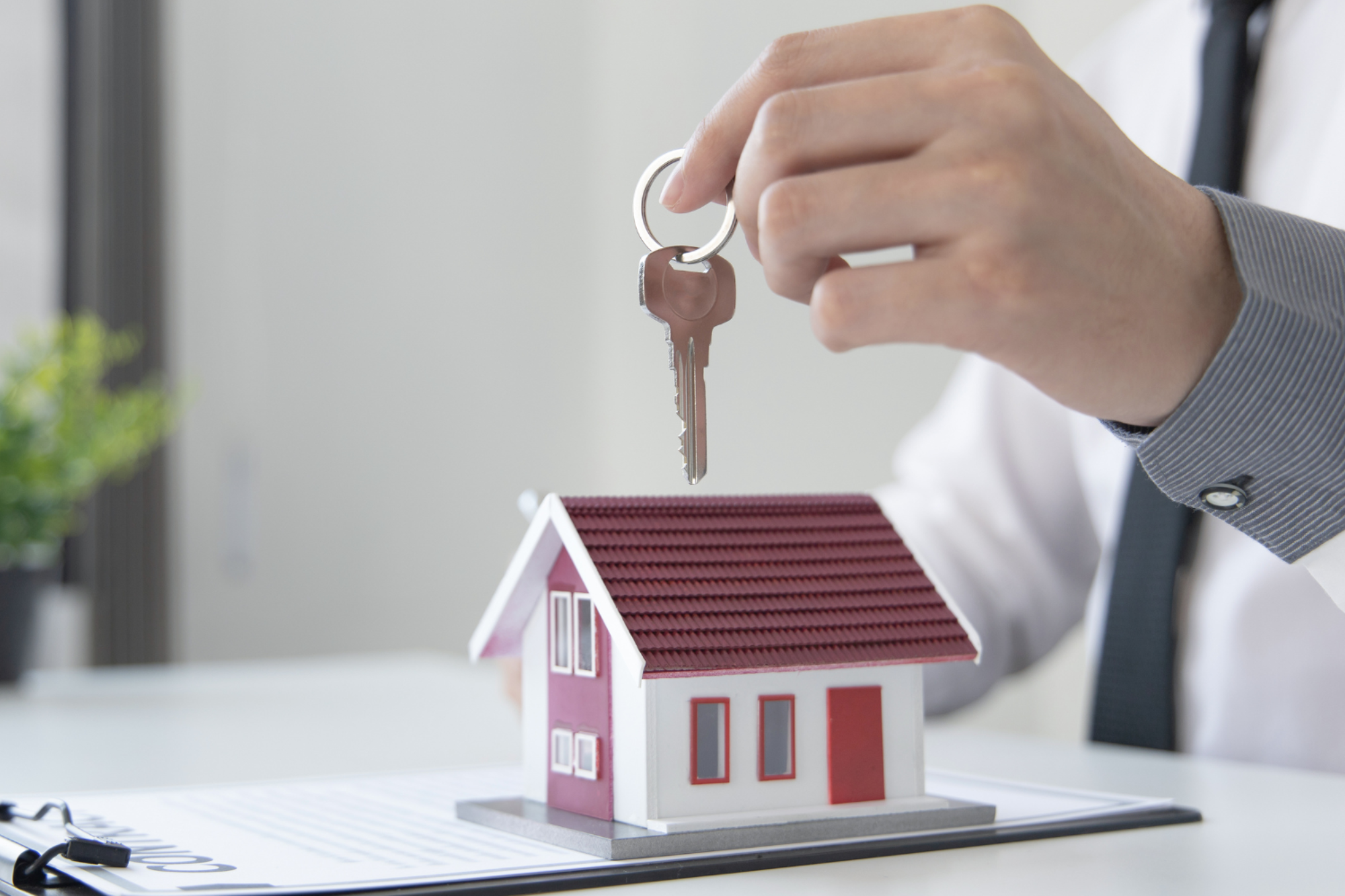 Untitled design - 2026-01-17T175903.589