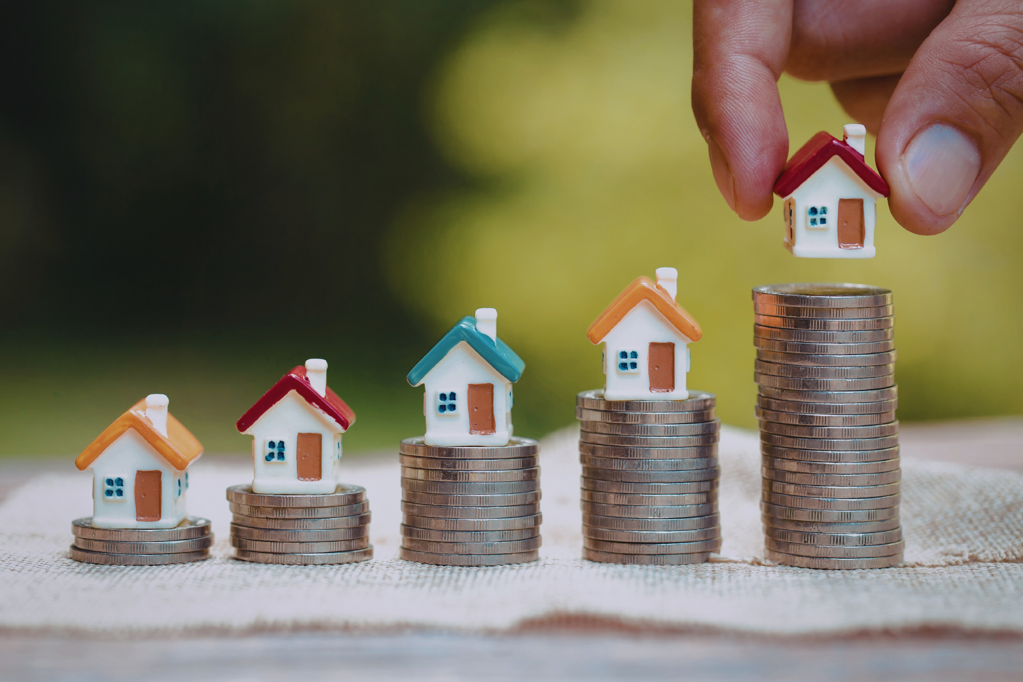 Untitled design - 2026-01-17T175955.768